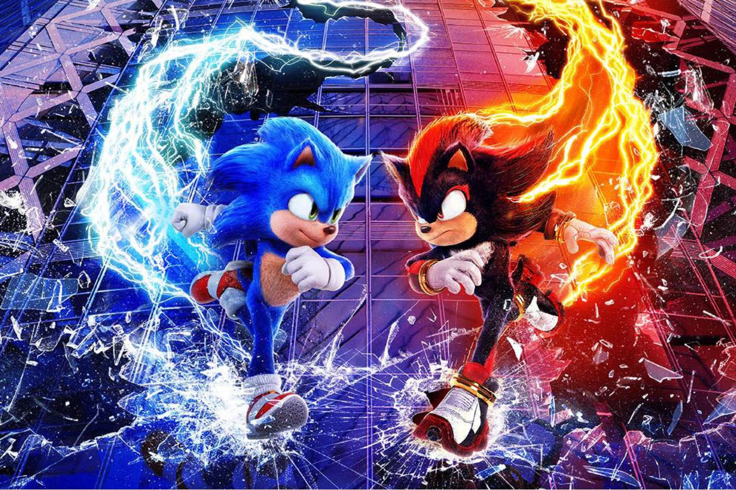 Nhím Sonic Nhím Sonic