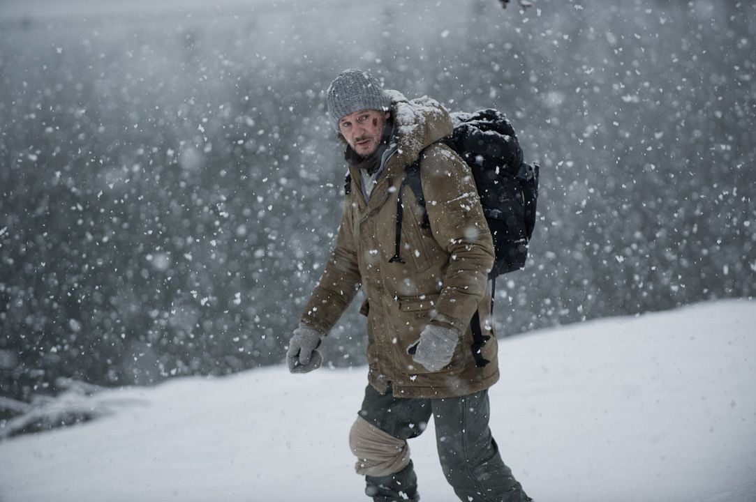 The Grey - Sinh Tồn tại vùng khắc nghiệt của Nam Cực