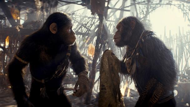 Top 10 bộ phim hoạt hình Pixar năm 2024 Top 10 bộ phim hoạt hình Pixar năm 2024